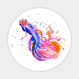 Betta Fish Swimming Magnet